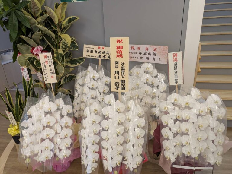 卯月の徒然